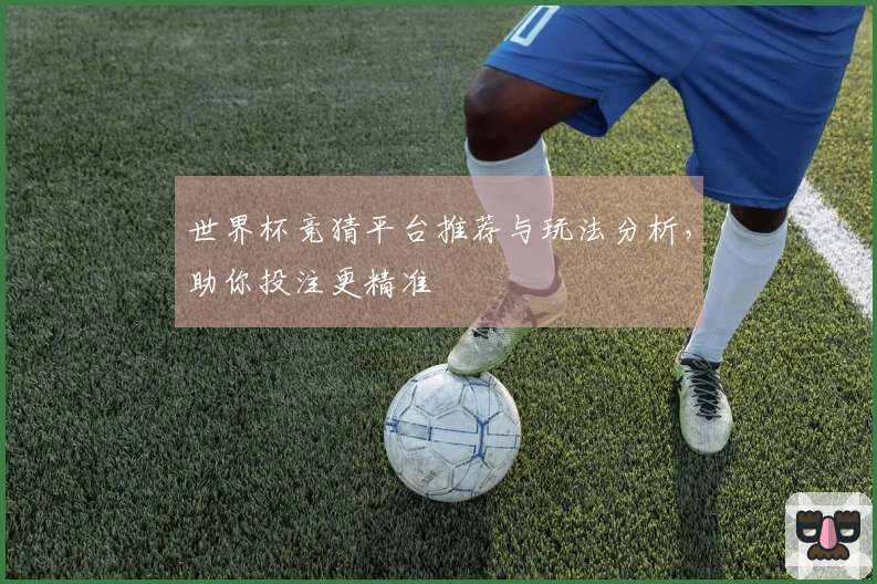 世界杯竞猜平台推荐与玩法分析，助你投注更精准