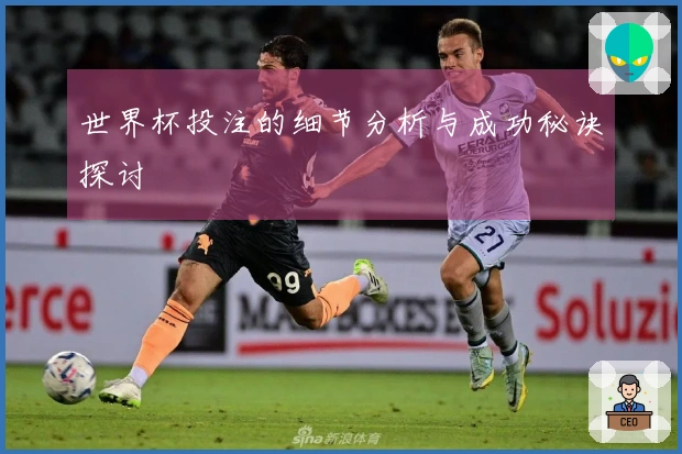 世界杯投注的细节分析与成功秘诀探讨