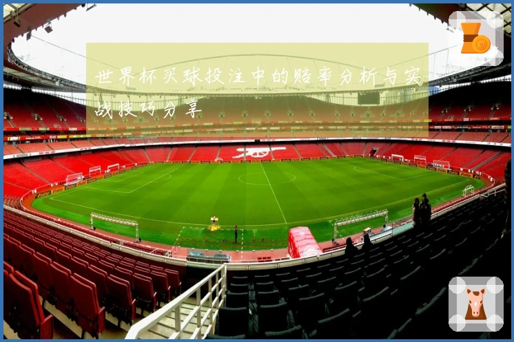 世界杯买球投注中的赔率分析与实战技巧分享