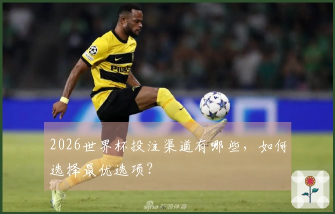 2026世界杯投注渠道有哪些，如何选择最优选项？