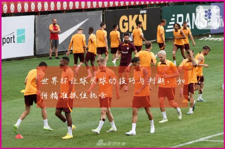 世界杯让球买球的技巧与判断，如何精准抓住机会
