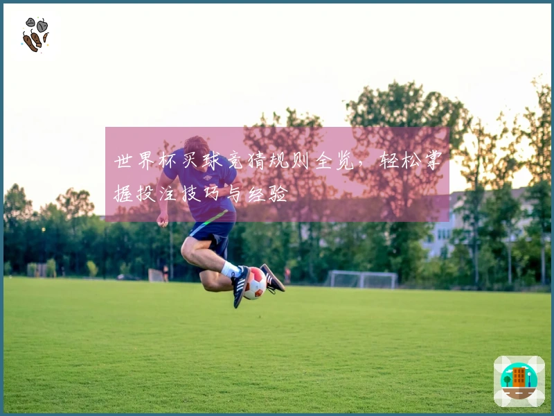 世界杯买球竞猜规则全览，轻松掌握投注技巧与经验